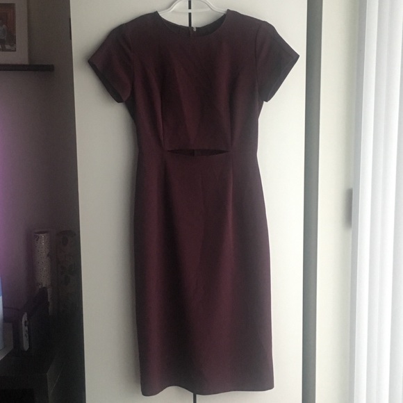Aritzia Babaton ‘Prosper’ Dress (BNWT) - Picture 3 of 4